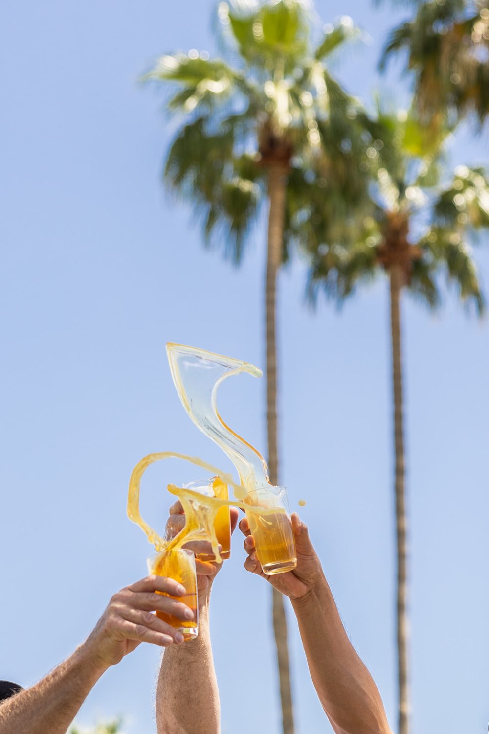 Toast against palm trees